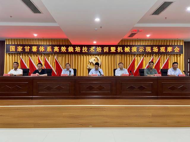甘薯高效栽培技術培訓暨機械演示現(xiàn)場觀摩會在商丘召開:栽培
